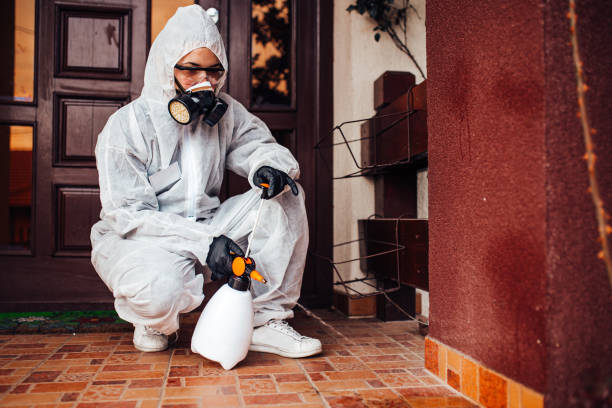 Reliable Wasp Removal contractor in Oceanport, NJ by Show Me Pest Control